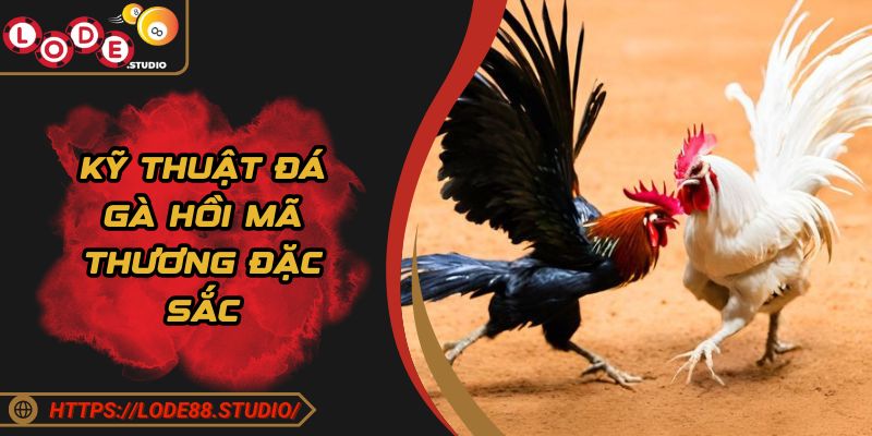 Kỹ thuật đá gà hồi mã thương đặc sắc 